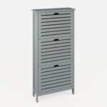 BGN3TSGRY-SHOE CABINET-10.23-CO02-ISO CLOSED
