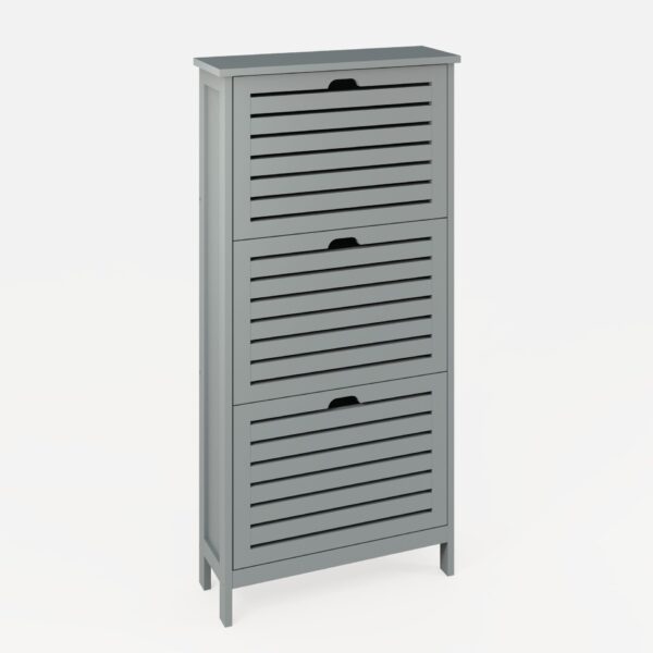 BGN3TSGRY-SHOE CABINET-10.23-CO02-ISO CLOSED