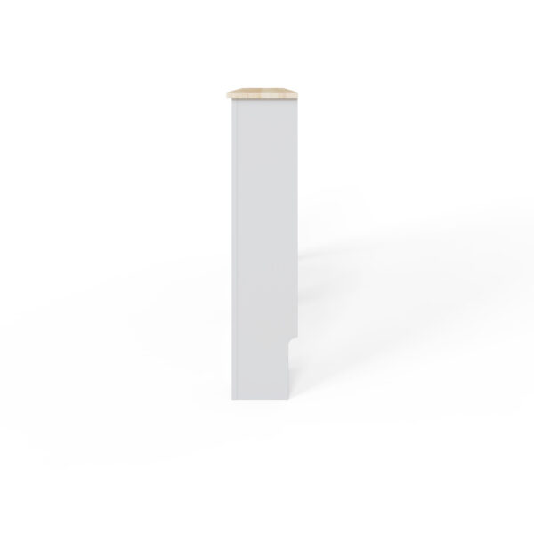 LONRCLGRY-LONGSLOW LARGE GREY-09-25-CO3 (1)