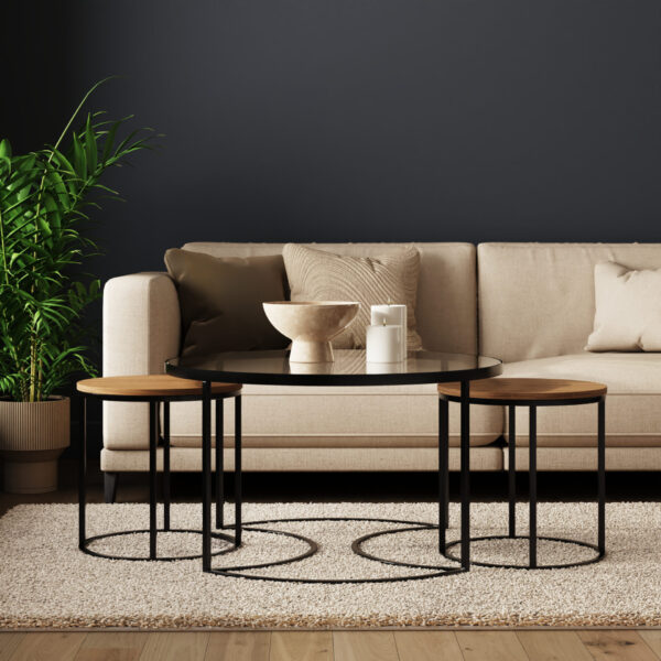 FEMNSTOAK-FEMI NESTING COFFEE TABLE-11-25-RMS02 (1)